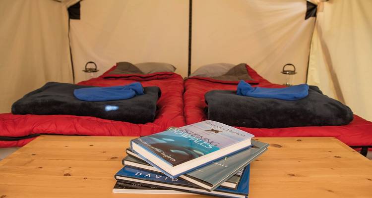 Glamping con ballenas y barbas - DERTOUR 5
