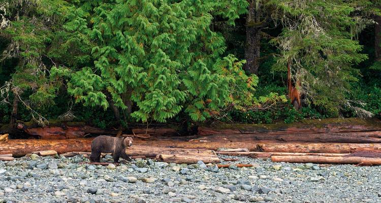 Menschen, die mit frisch gekochtem Lachs an einem Holztisch speisen.
