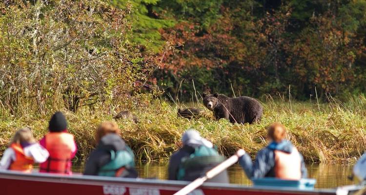 Great Bear Adventure - DERTOUR 5