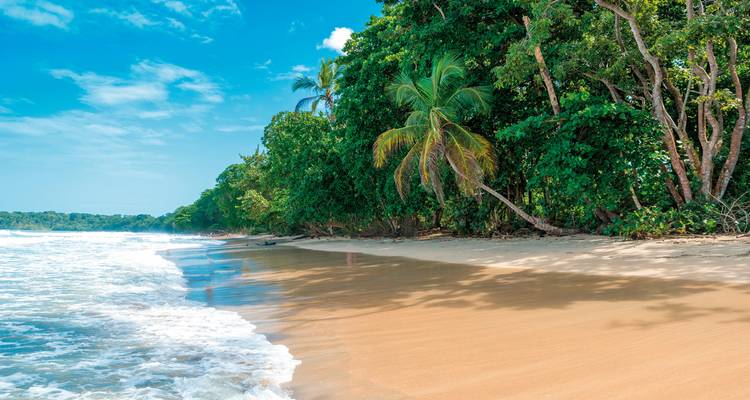 Ongerepte strand met weelderig tropisch gebladerte en heldere luchten.