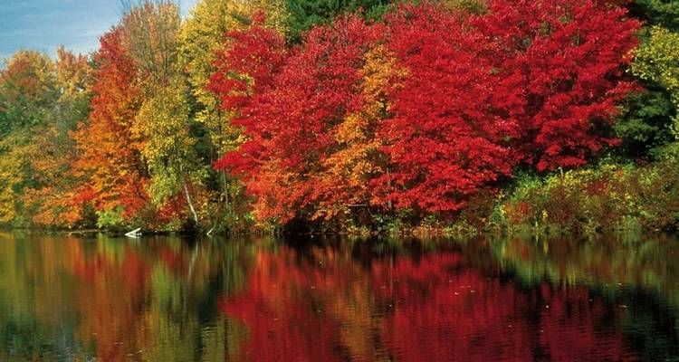Les couleurs de l'été indien (de/à Boston) - DERTOUR 10