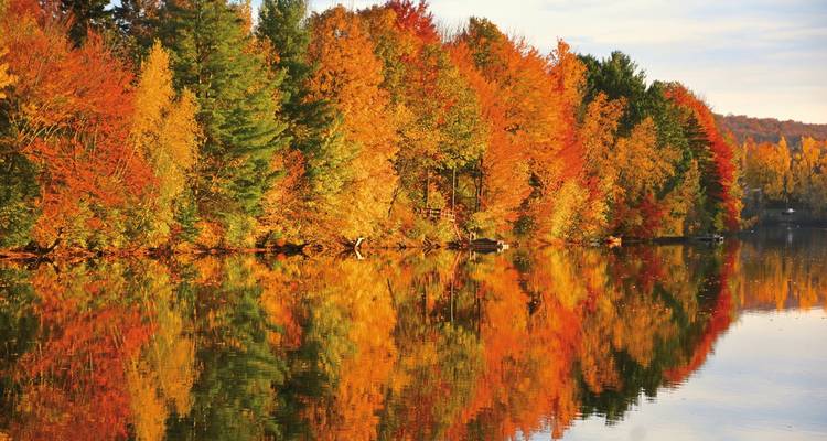 Autumn foliage reflected in calm lake waters.