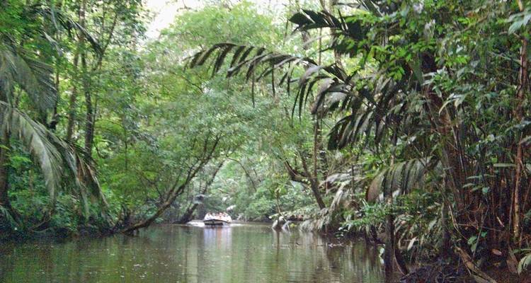 Tortuguero jungle experience - DERTOUR 2