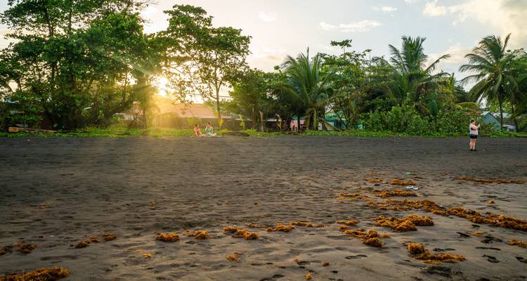 Tortuguero jungle experience - DERTOUR 8