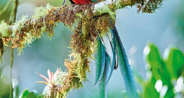 Costa Rica - Off the beaten track - DERTOUR 3