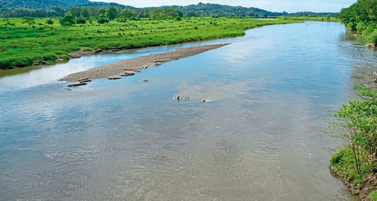 Rivière coulant à travers un paysage luxuriant.