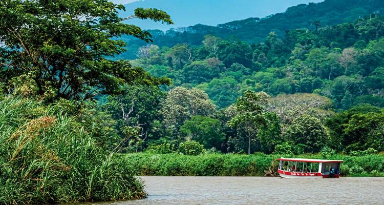 Bateau naviguant sur une rivière bordée d'une forêt luxuriante.