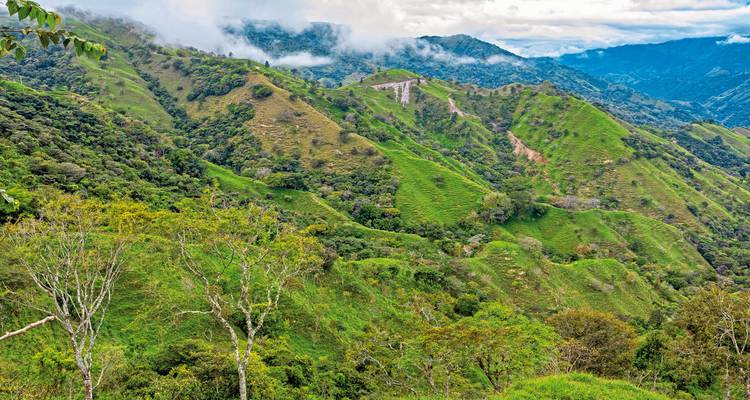 Paysage vallonné avec une végétation dense et quelques structures.
