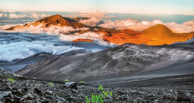 Craggy mountain landscape bathed in sunlight above the clouds.