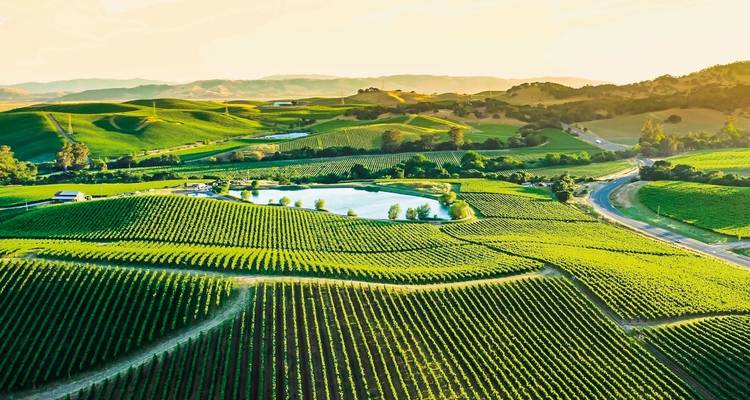 National parks, wine & coastal dreams - DERTOUR 6
