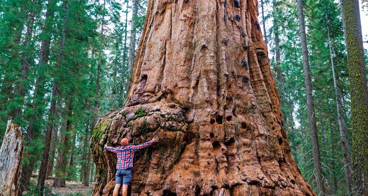 National parks, wine & coastal dreams - DERTOUR 9