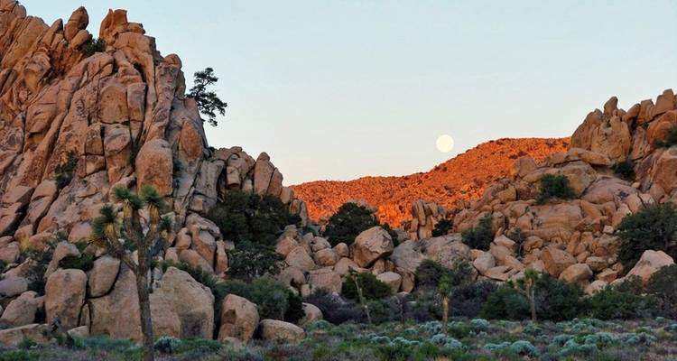 Wild West Feeling (9 nuits) - DERTOUR 5