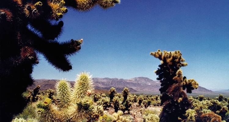 Wild West Feeling (9 nuits) - DERTOUR 7