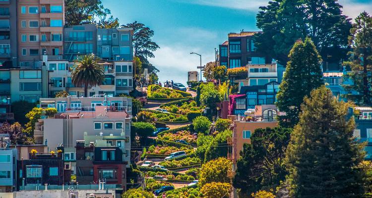Beroemde Lombard Street met zijn steile, kronkelende weg omzoomd door huizen.