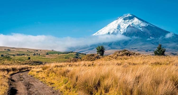 Ecuador de colores - DERTOUR 3