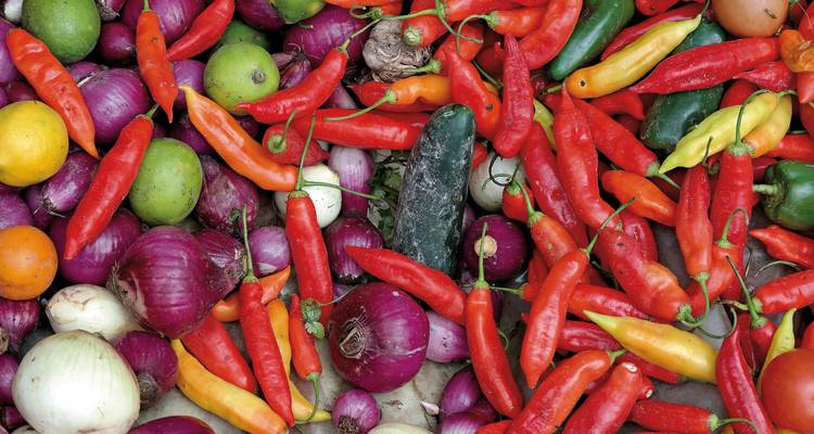 Verschillende kleurrijke groenten waaronder paprika's en uien.