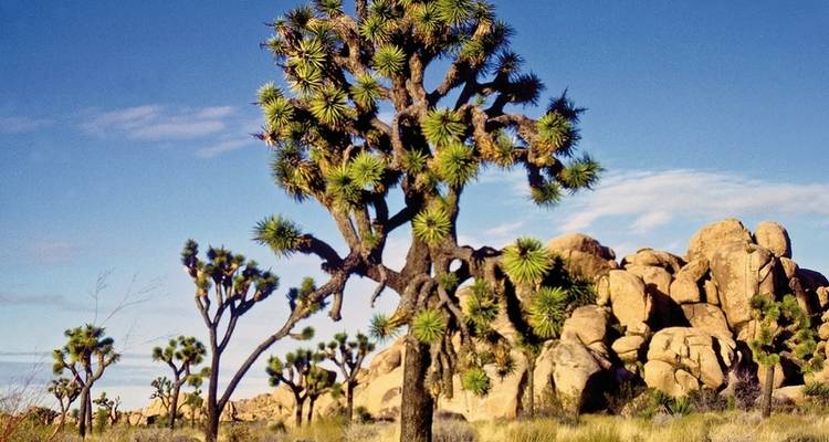 Wild West Feeling (15 nights) - DERTOUR 8