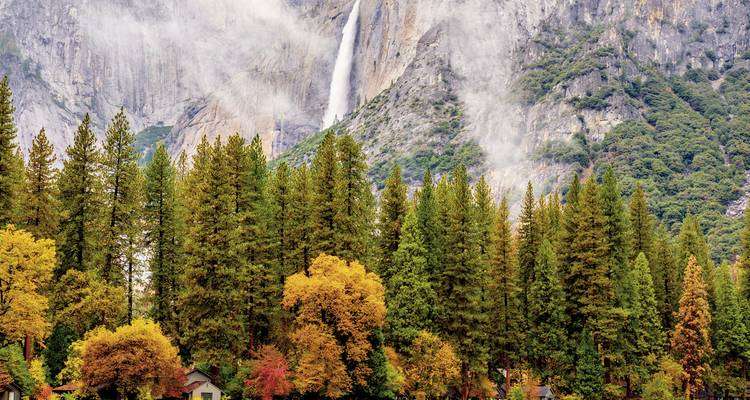 Arbres d'automne avec une cascade dans une région montagneuse.