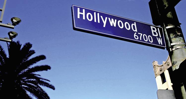 Panneau de Hollywood Boulevard avec un palmier.