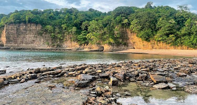 Een rotsachtige kustlijn met kliffen bedekt met groen.