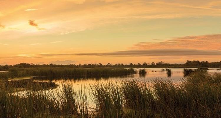 Floride Sunshine State - DERTOUR 5