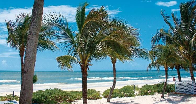 Florida Sunshine State & Beach (standard version) - DERTOUR 1