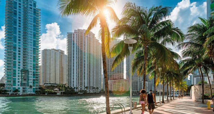 Modern high-rise buildings and palm trees lining a waterfront promenade.