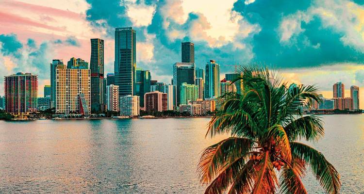 Horizonte urbano colorido con palmeras bajo un cielo dramático.