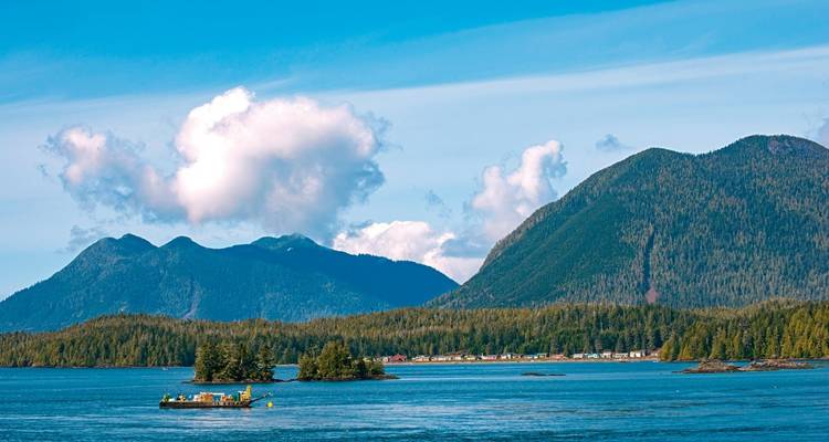 Baren, whales & Vancouver Island - DERTOUR 4
