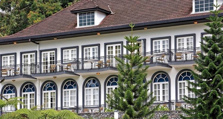 Experiencia en la naturaleza en las Tierras Altas de Cameron (opción de lujo, desde/hasta Kuala Lumpur) - DERTOUR 3