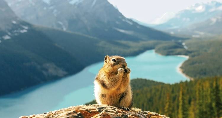 Canadian contrasts (13 nights) - DERTOUR 3