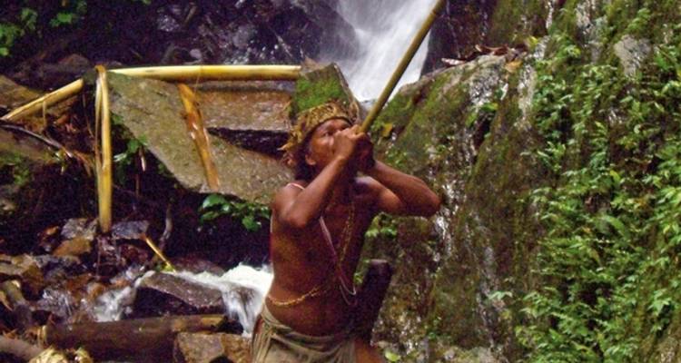 Cameron Highlands nature experience (superior option, from Kuala Lumpur/to Penang) - DERTOUR 5