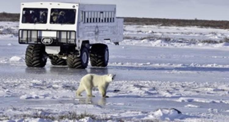 On the trail of the Ice Barbarians (5 nights) - DERTOUR 5