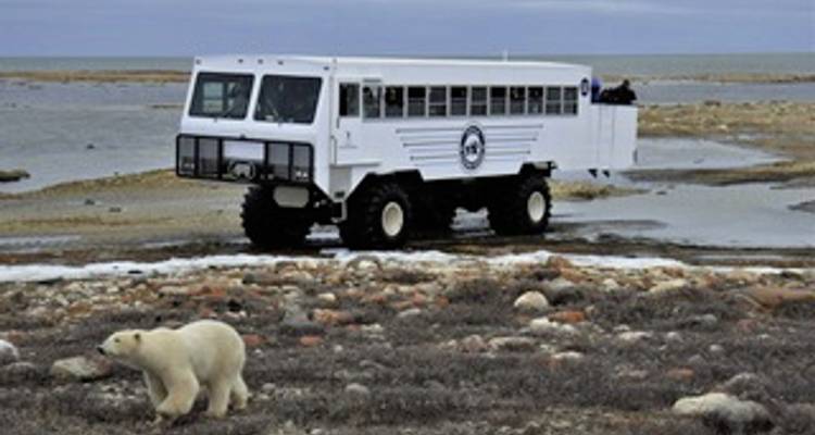 On the trail of the Ice Barbarians (5 nights) - DERTOUR 1