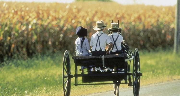 Menschen, die in einer Pferdekutsche auf einer Straße mit Kornfeldern fahren.