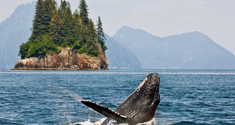 Orca Camp up close - DERTOUR 10