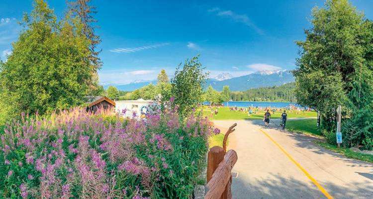A park with blooming flowers and people enjoying a sunny day.