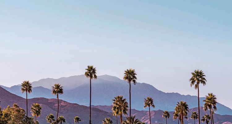 Silhouettes de palmiers sur fond de montagne sous un ciel dégagé.