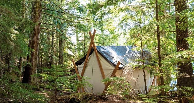 Tent in een weelderige bosomgeving.