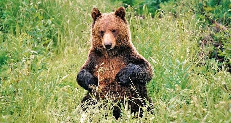 Adventure Rockies, Yukon & Alaska - DERTOUR 7
