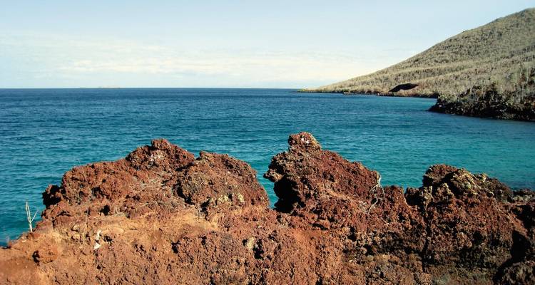 Ruige kustlijn met blauwe oceaan en rotsachtige voorgrond.