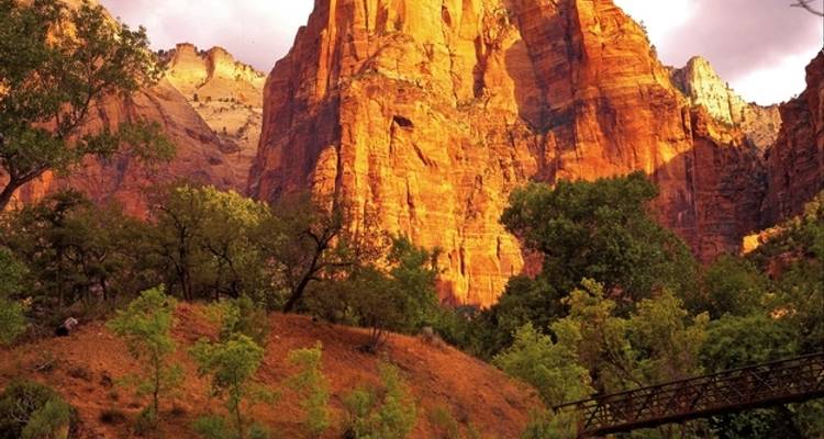 Haz senderismo por los Parques Nacionales del Oeste (desde Las Vegas) - DERTOUR 8