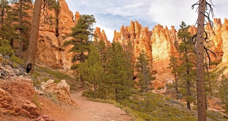 Haz senderismo por los Parques Nacionales del Oeste (desde Las Vegas) - DERTOUR 9