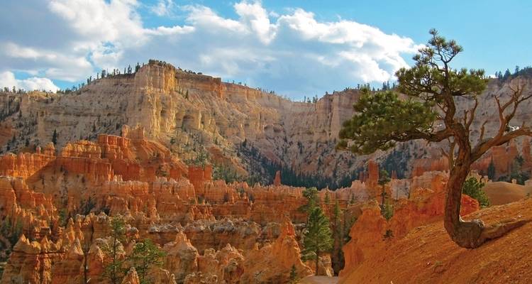 Hike the National Parks of the West (from Las Vegas) - DERTOUR 2