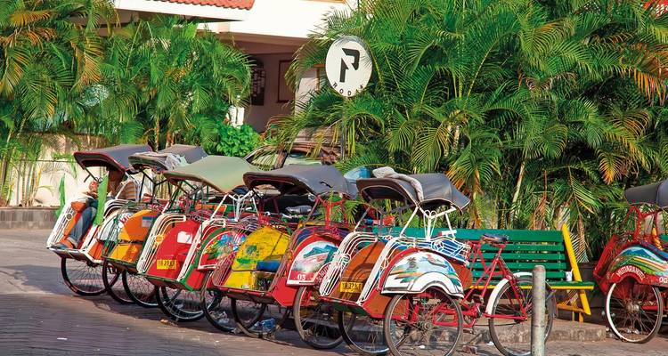 Rij van felgekleurde, versierde fietsriksjaws geparkeerd bij een gebouw.