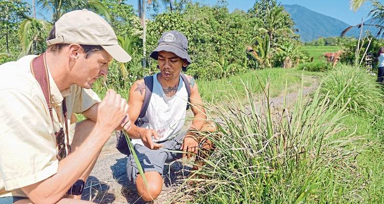 Twee mannen onderzoeken planten in een weelderige, landelijke omgeving.