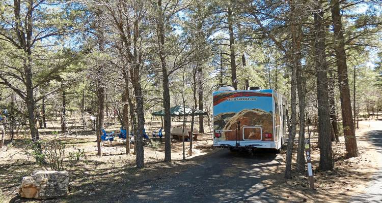 RV parked in a wooded campsite with picnic tables.