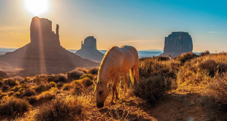 Canyon Explorer (Las Vegas - San Francisco) - DERTOUR 4
