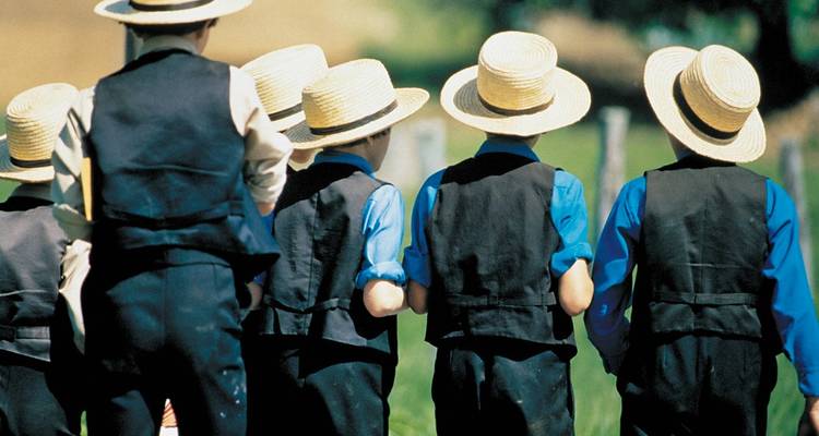 Gruppe von Amish-Jungen in Strohhüten und Westen geht gemeinsam durch ländliches Ackerland.