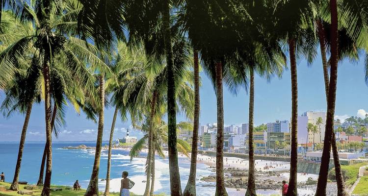 People enjoying a beach with palm trees and cityscape in the background.